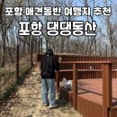 송덕로 | 경북 포항 입장료 무료 넓은 애견운동장이 여러개인 포항댕댕동산 소형견 다녀온 후기