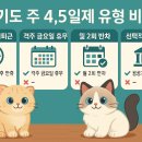 충원개발(주) | 경기도 주 4.5일제, 우리 회사엔 어떤 유형이 맞을까?