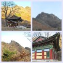 중앙동 2009-1 이미지