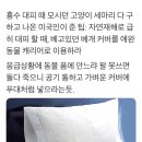 솟밥먹자 탱구르르 임시달글 이미지