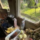 대우과일상회 이미지