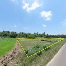 제주가자공인중개사사무소 이미지