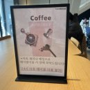 스타벅스 커피세미나 후기