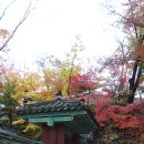 비-원 이미지