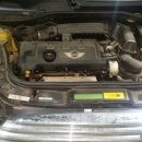 100프로카센타 이미지