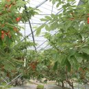 김영종농장 이미지