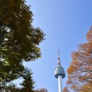 가을코스2 | 서울 가을단풍명소 2층버스 시티투어 코스·요금·후기 총정리