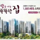 신안지구 티스토리