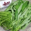 DC식자재마트 이미지