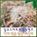 쌍향수길 | 일우 4K HD 스마트폰 광각렌즈 셀카 렌즈 어안魚眼 접사 CPL STAR 필터 사용 후기