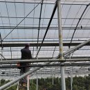 진보농장 | 3,393평 청년 농부의 스마트한 선택! FTA 보조사업 '자동 회수식' 풀옵션 시공 후기 (천혜향/레드향)