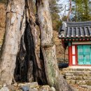 죽림암 이미지