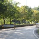 횡성호수펜션 이미지