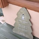 오붓(Obud) 제주 패스 이용 후기 (연화차/애월7일/요가베르데)