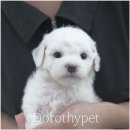 몽글몽글 네이버블로그