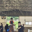 교하운정스카이승마장 이미지