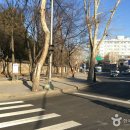 메이플레이스 호텔 서울 동대문 | [서울 종로구] 메이플레이스 호텔 서울 동대문