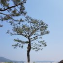 강화전쟁박물관 이미지