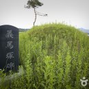 의마총 이미지