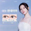 베이지데이 이미지
