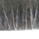 대천통나무소나무펜션 이미지