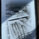 은빛상회 | 중문관광단지 맛집 갈치구이의 모든것 만족한상회