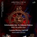 광양시립소년소녀합창단 정기연주회 | 여수시립합창단, 제88회 정기연주회 개최