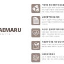 마루의꿈 이미지
