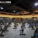 스테디 휘트니스(안중점) 이미지