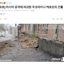 금의나라, 물의나라 관람 후기(애니매이션)