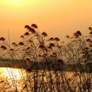 빛, 소리 Ⅰ 이미지