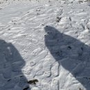 한강 산책 이미지