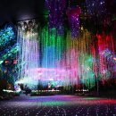 대전오월드 이미지