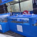 신양로(풍산읍) 이미지