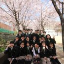 인성초등학교 이미지
