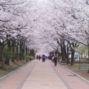 원적산공원 이미지