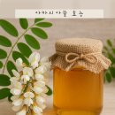 신진축산유통 | 아카시아꽃 아카시아꿀 효능, 하루 한스푼 몸안에 기적이 시작되는 이유 7가지!