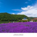카페25 이미지