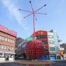 GS25 금산번영 | 다시 마주한 외씨버선길 2길 [청송] 소헌공원 ~ 신기리 느티나무 (2026.2.22일)