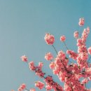 부동산재테크Ⅰ 이미지