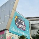 GS25 사상모라점 | 25-26 여자배구 사상최초 준플레이오프 gs칼텍스vs흥국생명 직관 후기