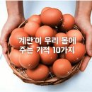 보노 이미지