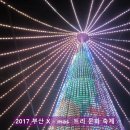 2017 부산 크리스마스 트리 문화 축제 이미지