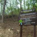 한국산림아카데미 국민의 숲 현황 보고서 이미지