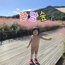 맑은물사업소 정문 외부 화장실 | 가을에 아기랑 부모님이랑 걷기 좋은 [화담숲][화담채]/후기/주차꿀팁/예약방법/모노레일/근처맛집추천