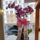 이음음악교습소 - 구리시 아치울길 30 | 이음음악교습소