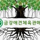 코리아호림태권도 이미지