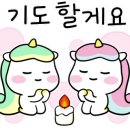오늘은코다리