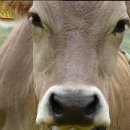 손뜨개 소품만들기 이미지