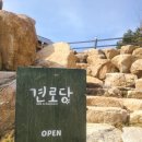 인제행복경로당 | [애견카페 인제 견로당] 공기좋은 인제에 위치한...웰시코기, 입장제한NO, 입장료, 카페, 음료, 방문후기)